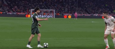 拜凯16B.gif