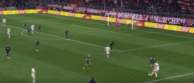 拜凯76.gif