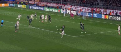 拜凯94.gif